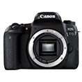 canon eos 77d thumb canon eos 77d thumb